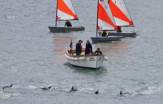 26 June 2021 - 11-06-26
The committee on the RDYC committee boat did very little committeeing. And no minutes were taken either. 
---------------
Dolphin invasion of the river Dart, Dartmouth
